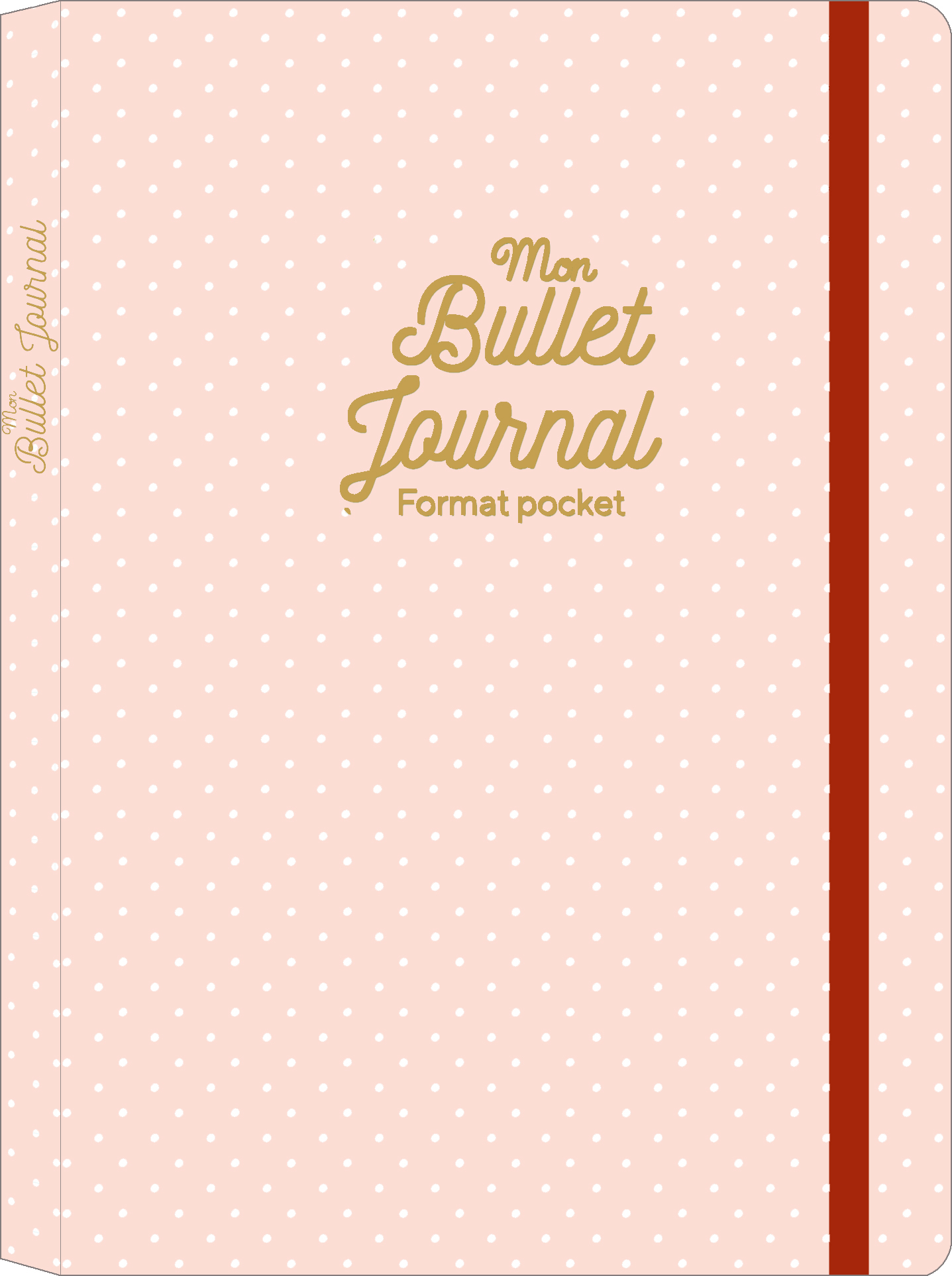 Mon Bullet journal pocket Mémoniak 2020 - Maud Taron - 365 PARIS
