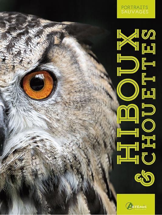Hiboux & chouettes - Michel Cuisin, M. CUISIN - ARTEMIS